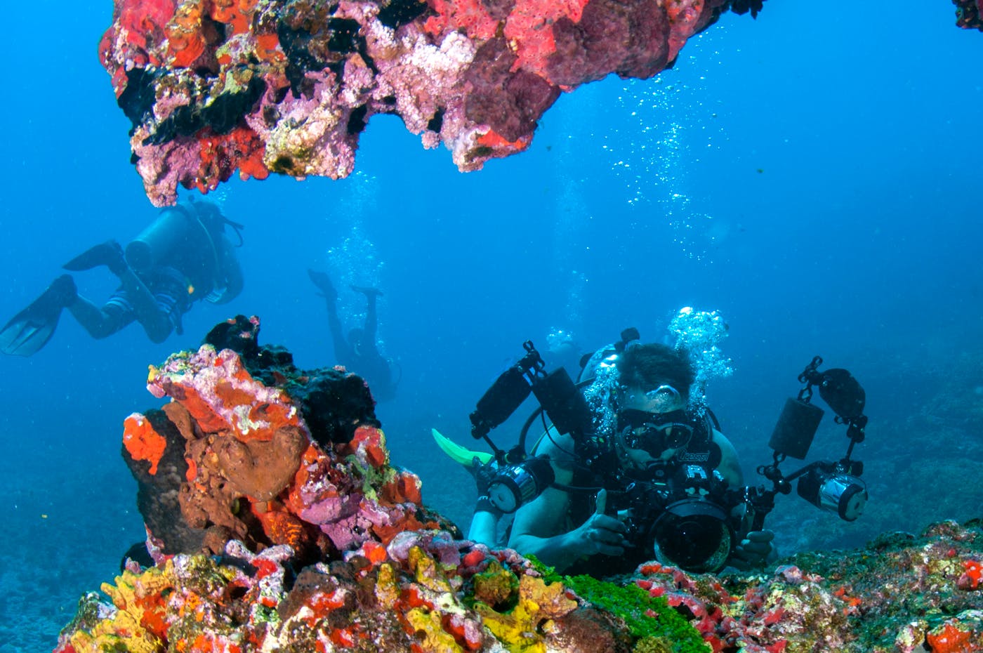 Underwater diver beside a colorful coral reef