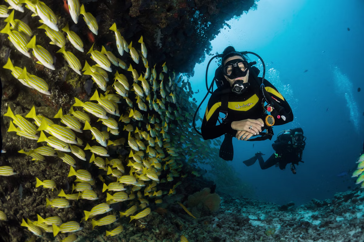 Diver suspended in blue water
