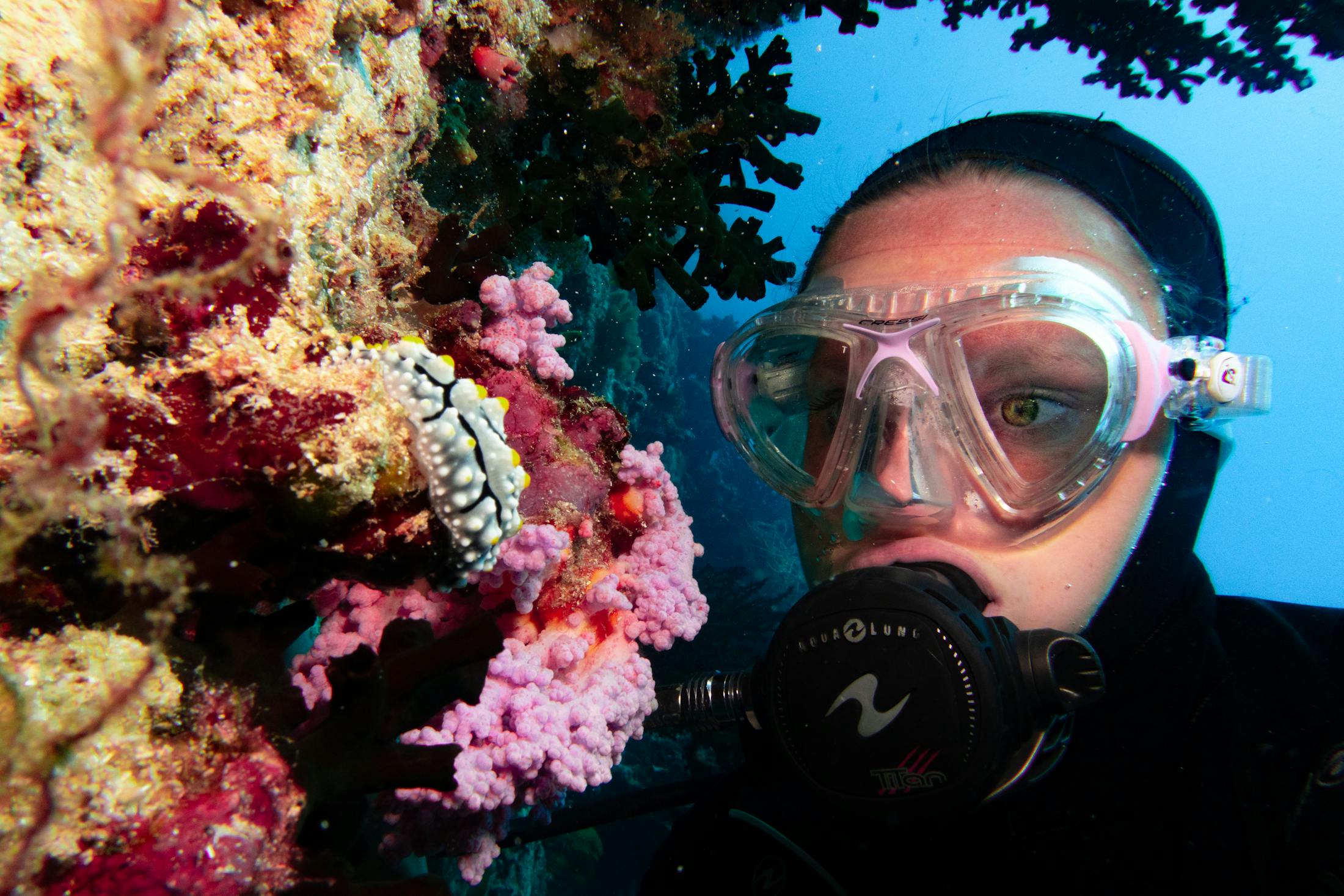 Green-tinted underwater reef and diver before color recovery